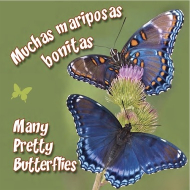Muchas mariposas bonitas = Many pretty butterflies
