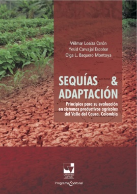 Sequías & adaptación : principios para su evaluación en sistemas productivos agrícolas del Valle del Cauca, Colombia