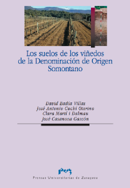 Los suelos de los viñedos de la Denominación de Origen Somontano