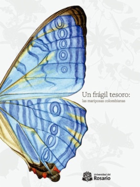 Un frágil tesoro : las mariposas colombianas